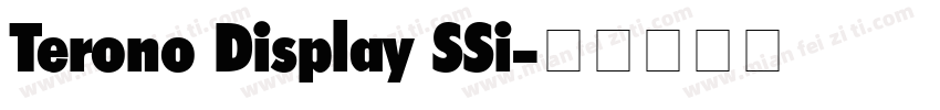 Terono Display SSi字体转换